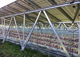 mushroom solar farm